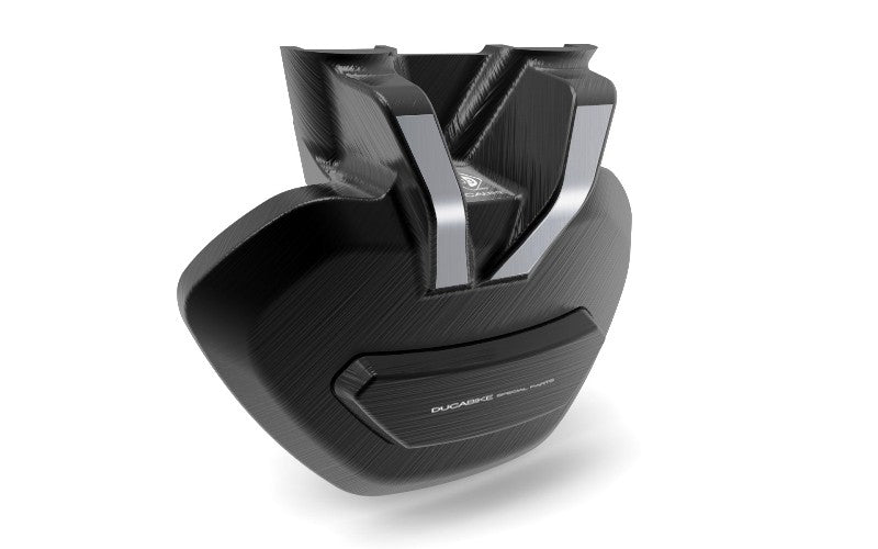 Ducabike DBK Pfxdv01 Xdiavel Swingarm Protection - BLACK-BLACK