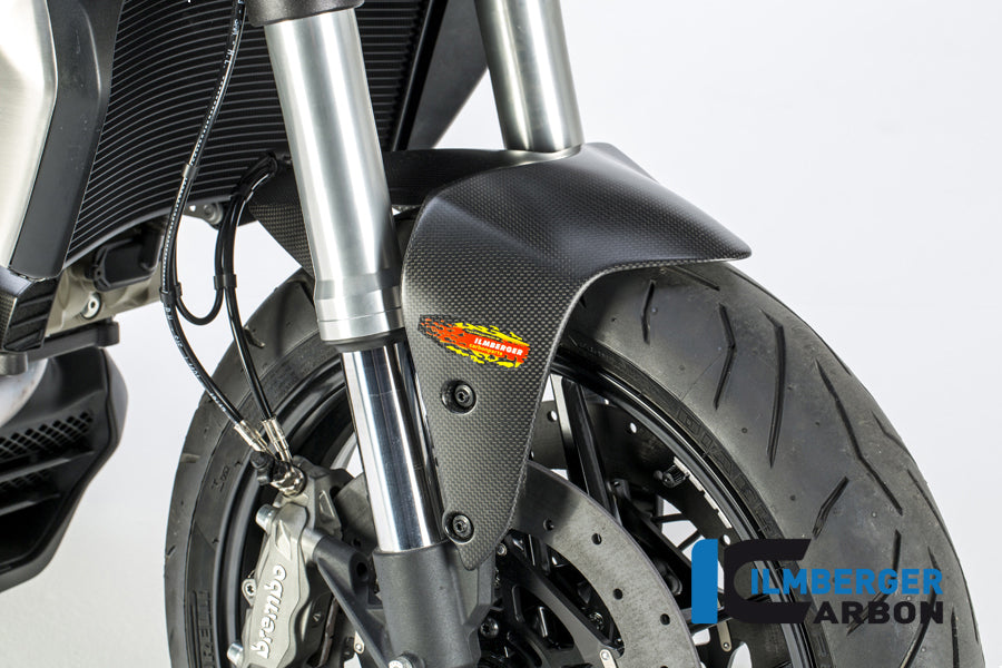 Ilmberger Carbon Front Fender Ducati Monster 1200 - Matte