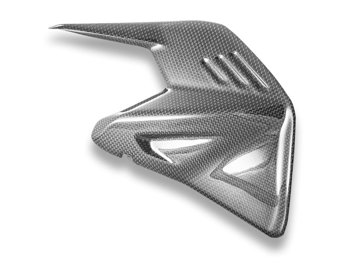 Ducabike DBK CRB234L PANIGALE/SF V4 MY25 Glossy Carbon Swingarm Protector