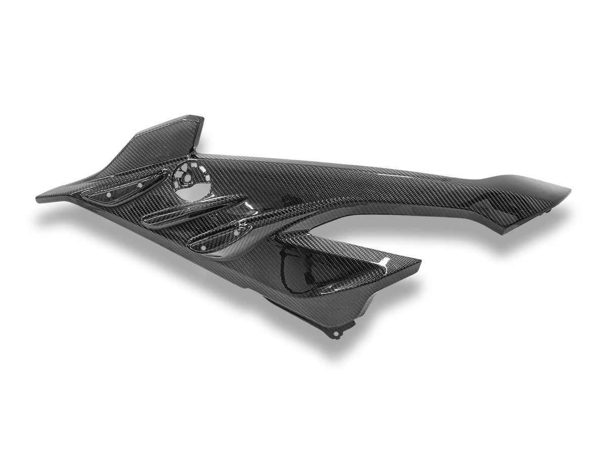 Ducabike DBK CRB219L BMW S1000RR My23 Glossy Carbon Side Panel Infill