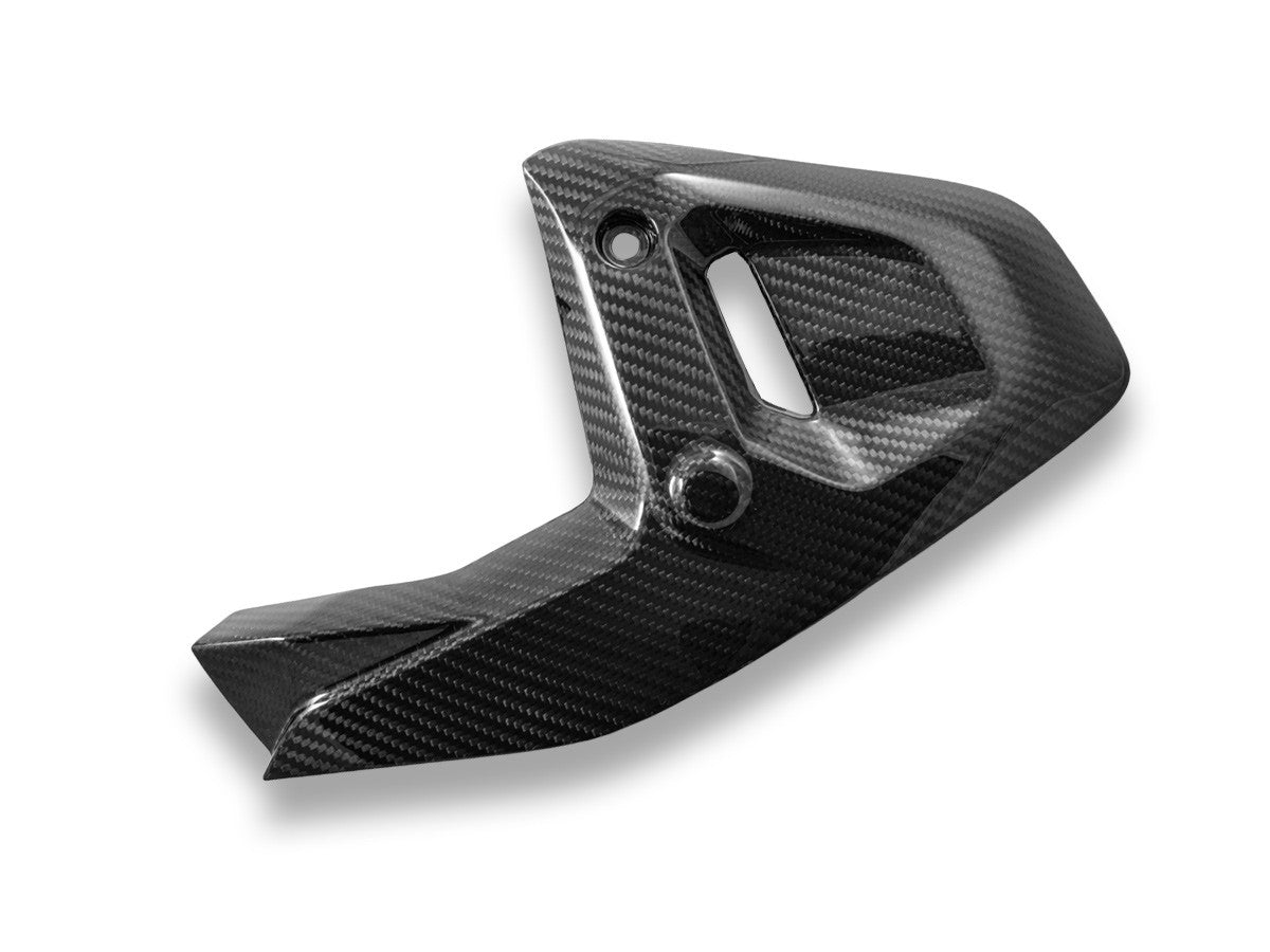 Ducabike DBK CRB182L BMW R1300GS Glossy Carbon Side Panels