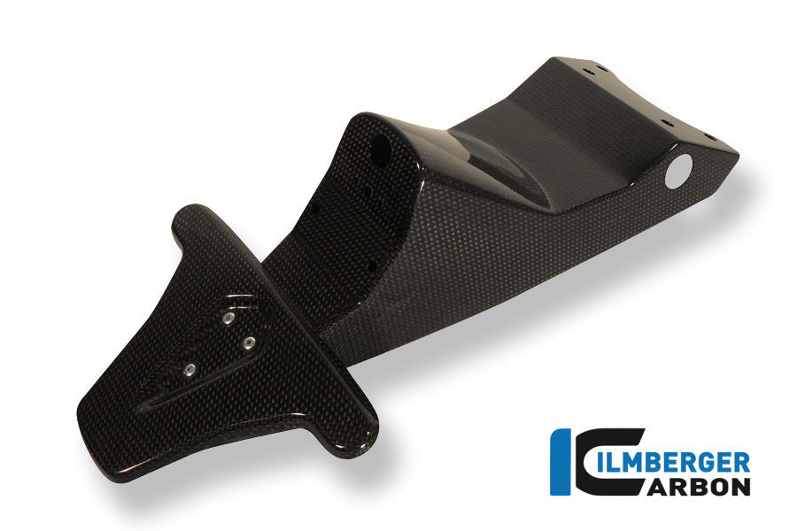 Ilmberger Carbon License Plate Holder (Incl. Taillight Cover With Indicator Mount) Carbon Triumph Speed Triple 1050