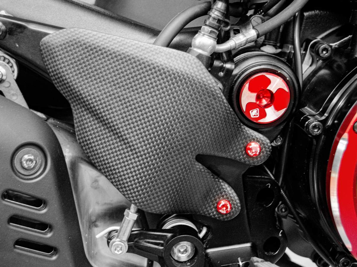 Ducabike DBK KVT44 Diavel V4 Right Heel Guard Screw Kit