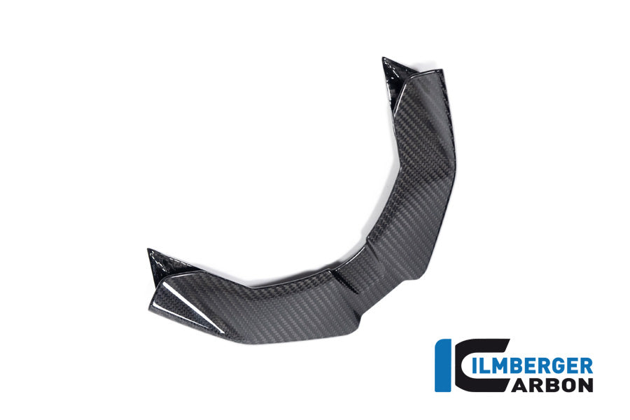 Ilmberger Carbon Front Beak BMW M 1000 XR 2024