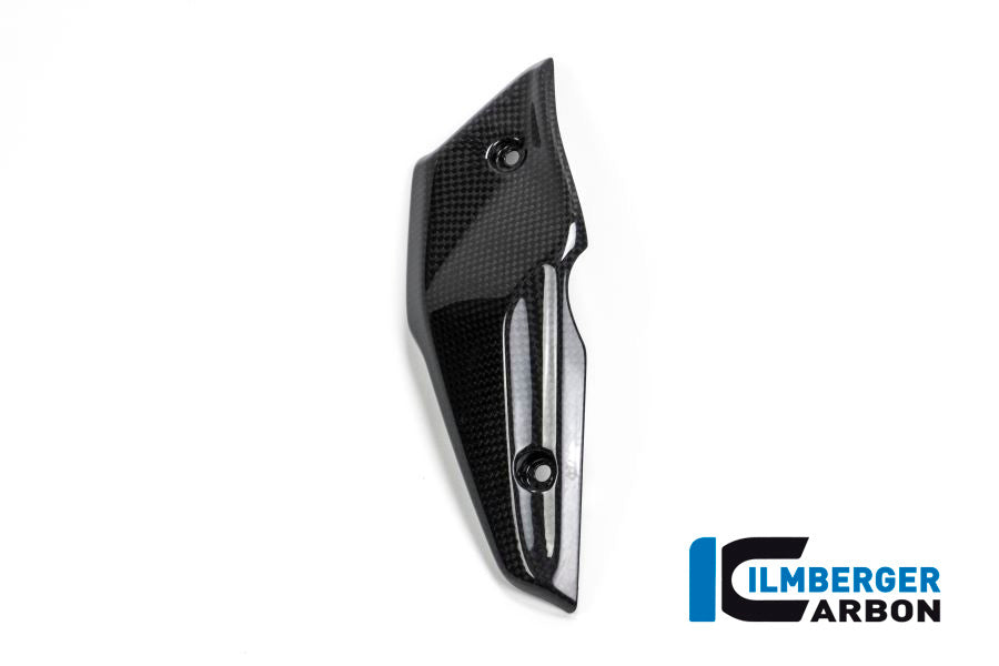 Ilmberger Carbon INJECTOR COVER - BMW R NINE T Scrambler