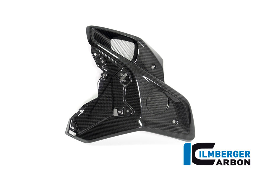 Ilmberger Carbon Airtube Left Side (For Orig. Stainless Steel Deflector) BMW R 1250 GS
