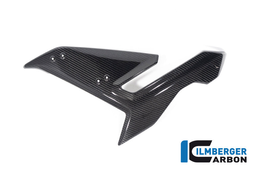 Ilmberger Carbon Side Fairing Left Side BMW S 1000 R MY From 2021