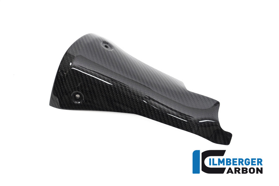 Ilmberger Carbon Front Silencer Protector BMW R 1250 R / R 1250 RS