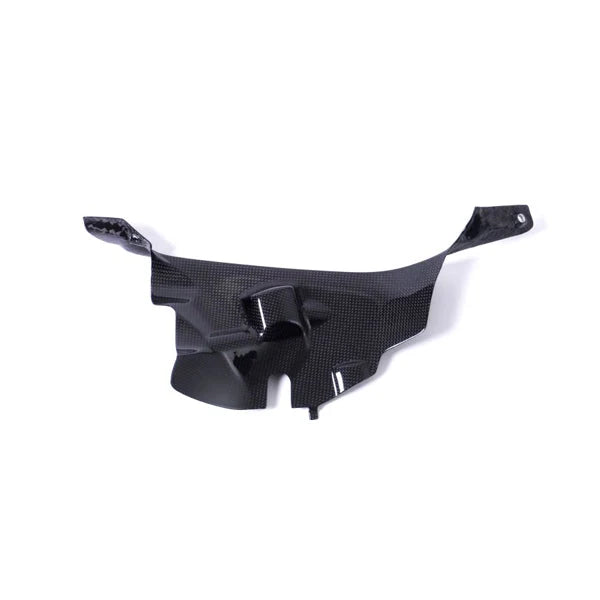 Ilmberger Carbon Air Tube Cover Set For Ducati Panigale V4 V4S Speciale