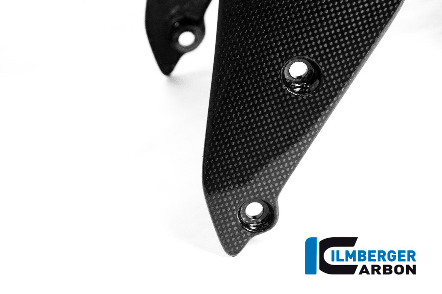 Ilmberger Carbon Front Fender Ducati Monster 1200 - Gloss