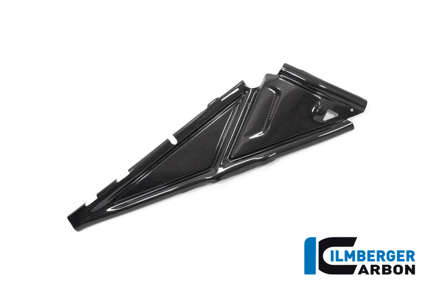 Ilmberger Carbon Subframe Cover Right Side BMW R 1250 GS
