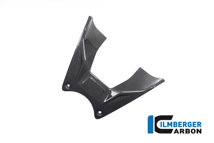 Ilmberger Carbon Tank Cover Ducati Diavel V4 From 2023 - Gloss