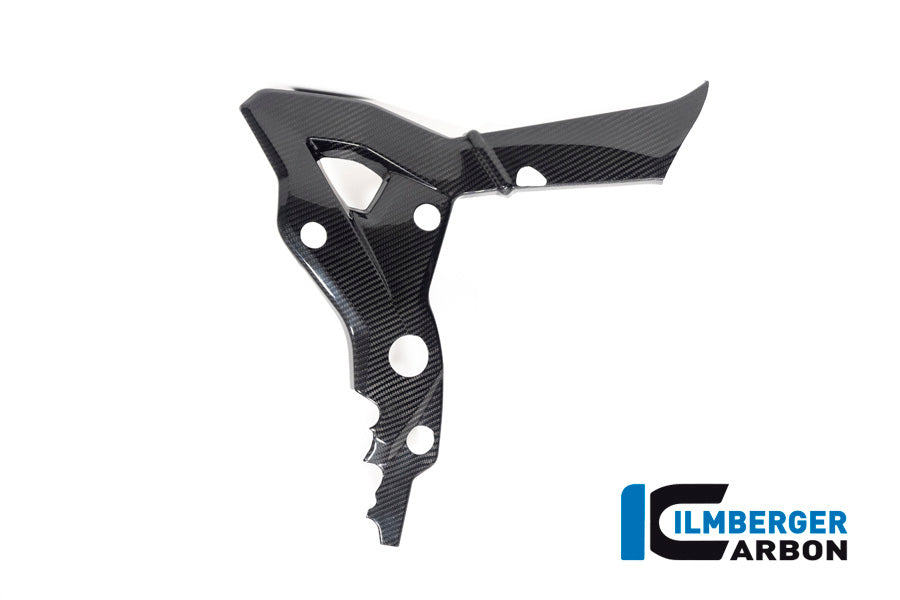 Ilmberger Carbon Frame Cover Right BMW S1000 XR From MY 2020