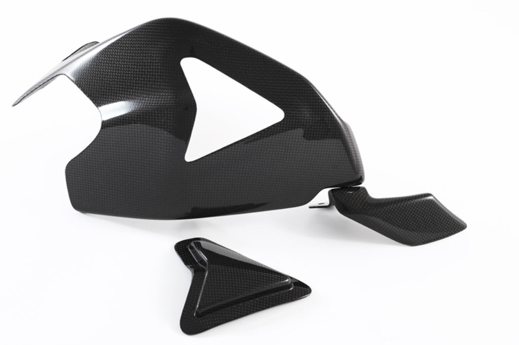 Fullsix Carbon SWINGARM GUARD With SLIDER And SHARK FIN