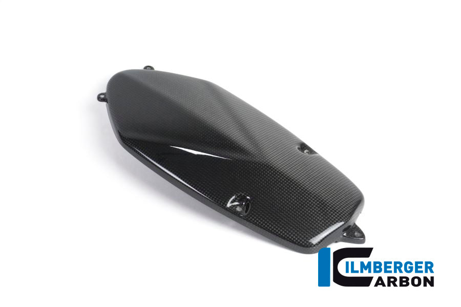 Ilmberger Carbon Alternator Cover Carbon