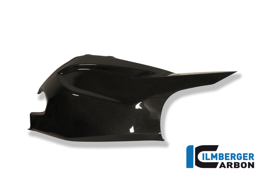 Ilmberger Carbon Swingarm / Chain Guard Upper - Gloss