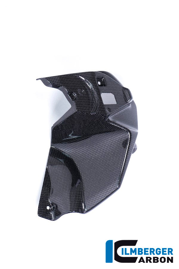 Ilmberger Carbon Airvent Cover Left Side BMW R 1200 GS From MY 2017