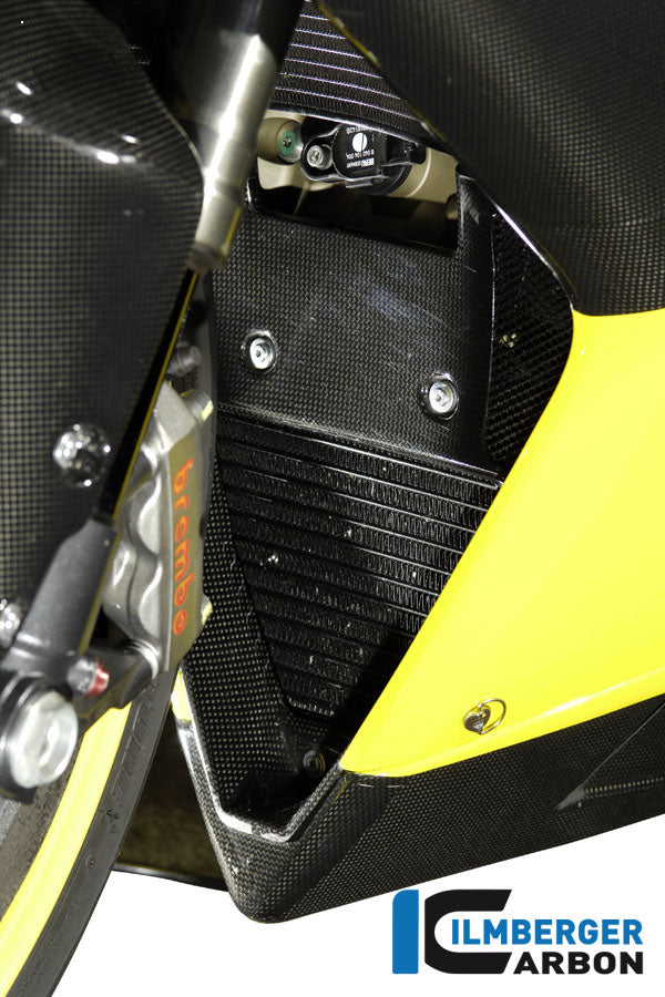 Ilmberger Carbon Fairing Insert Carbon