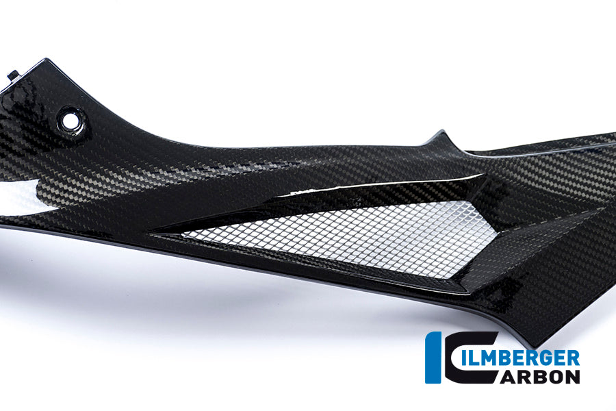 Ilmberger Carbon Left Side Cover On The Tank Racing Carbon