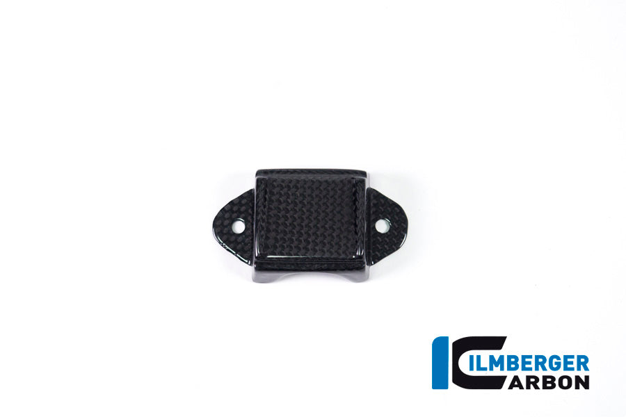 Ilmberger Carbon Instrument Cover Ducati Panigale V4 / V4 S