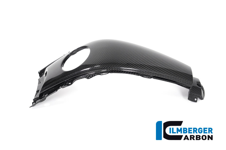 Ilmberger Carbon Tank Centre Panel - BMW K 1600 GT / K 1600 GTL / K 1600 Bagger