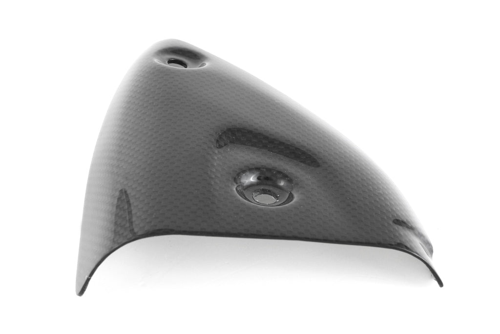 Fullsix Carbon EXHAUST PROTECTOR - Termignoni - LEFT