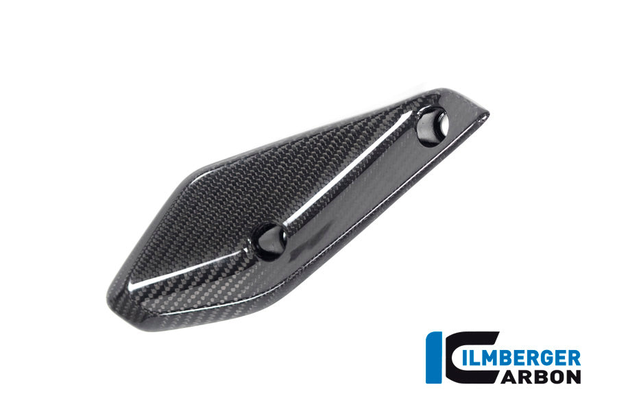 Ilmberger Carbon Flap On The Fairing Right Side BMW R 1250 RS