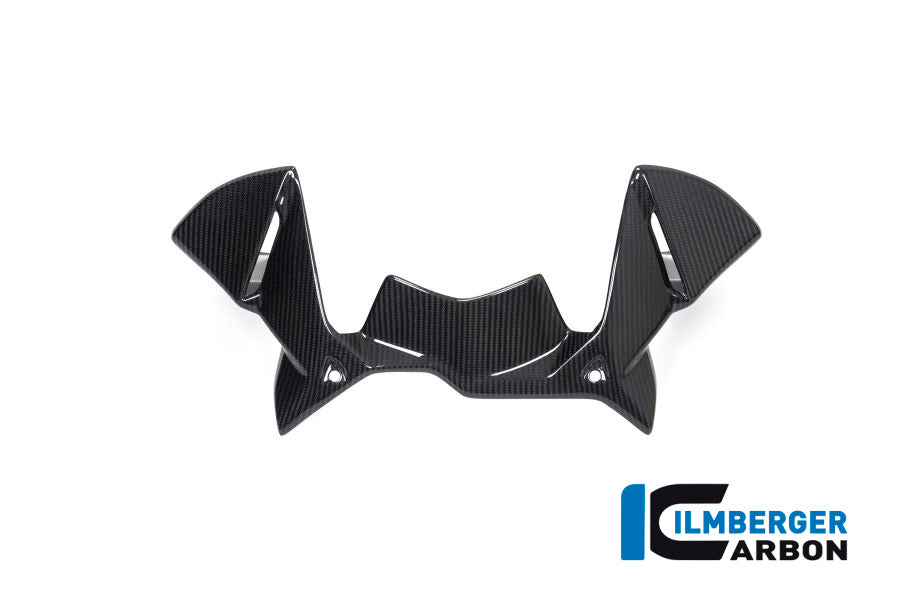 Ilmberger Carbon Windprotector On The Instruments BMW R 1250 GS