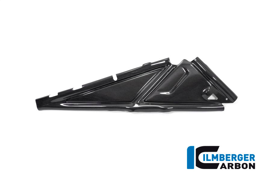 Ilmberger Carbon Subframe Cover Right Side BMW R 1250 GS