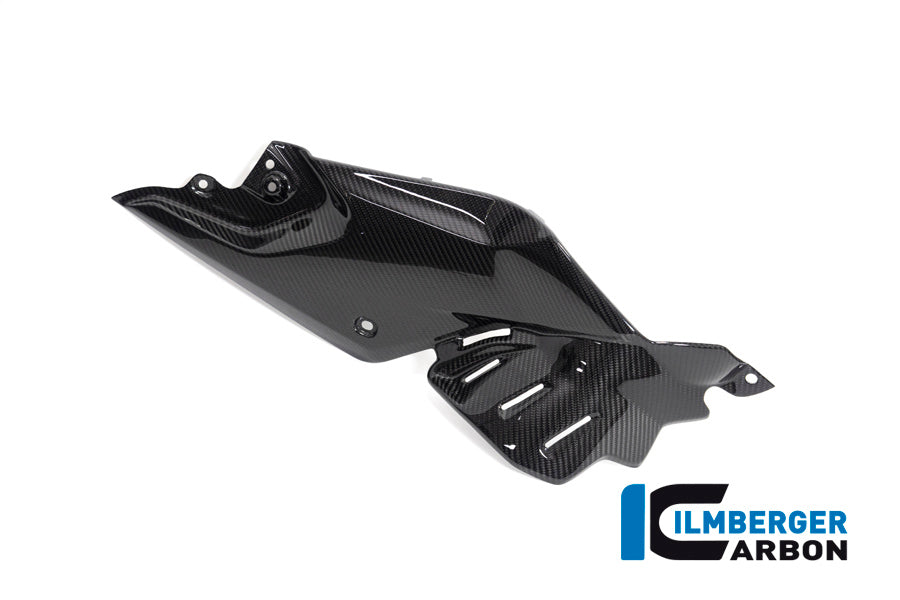 Ilmberger Carbon Side Panel Under The Tank Right BMW R 1250 R