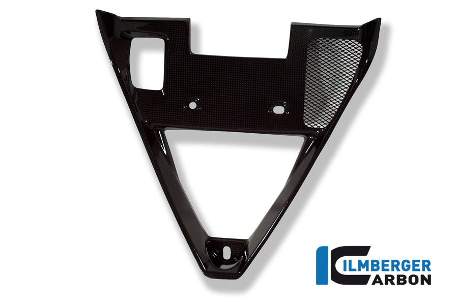 Ilmberger Carbon Fairing Insert Carbon