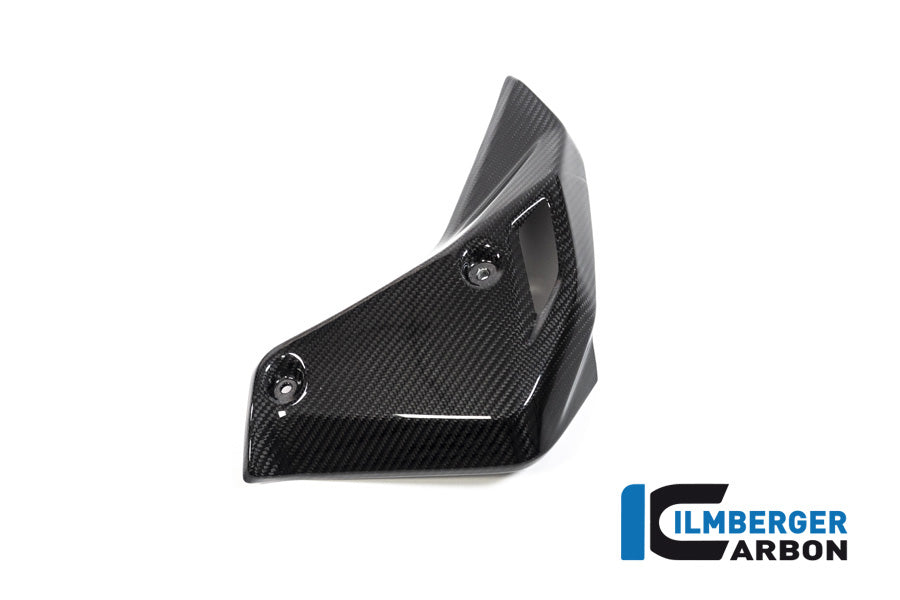 Ilmberger Carbon Watercooler Cover Right Side BMW R 1250 R