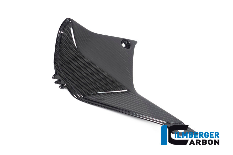Ilmberger Carbon Cover Near The Instrument Left Side BMW R 1250 RS´19