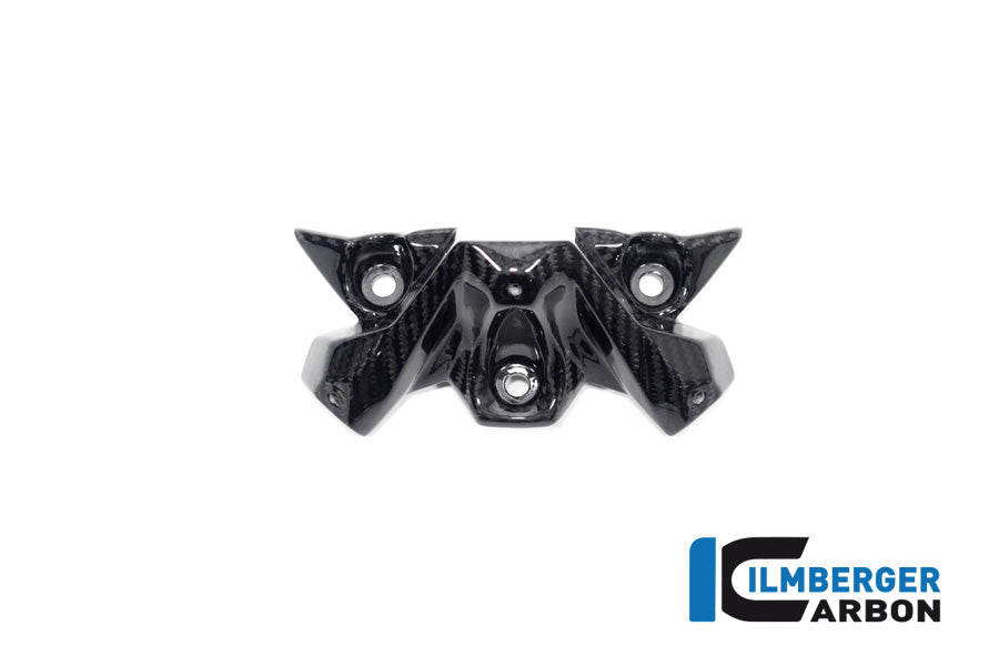 Ilmberger Carbon Windshield BMW S 1000 R MY From 2021 / M 1000 R MY From 2023