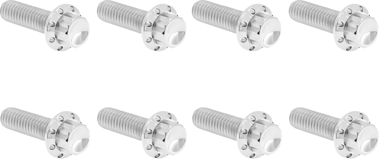 Arlen NESS Transmission Trap Door Titanium 12-Point Bolt Kit — For M8 Models