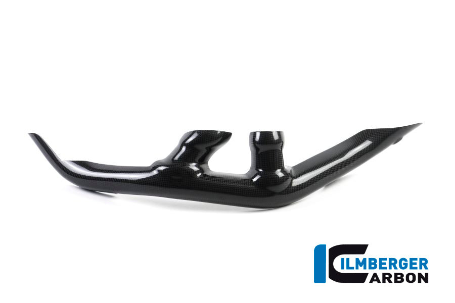 Ilmberger Carbon Swing Arm Cover Set 2-Parts Ducati XDiavel 2016 3Tlg - Gloss