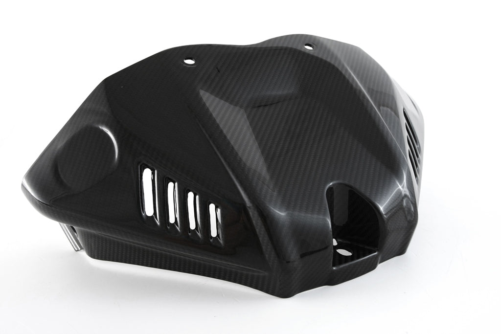 Fullsix Carbon Tank Cover