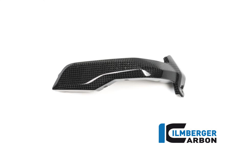 Ilmberger Carbon Spark Plug Cover Right Side Carbon - BMW R 1200 GS (LC) From 2013 To 2015