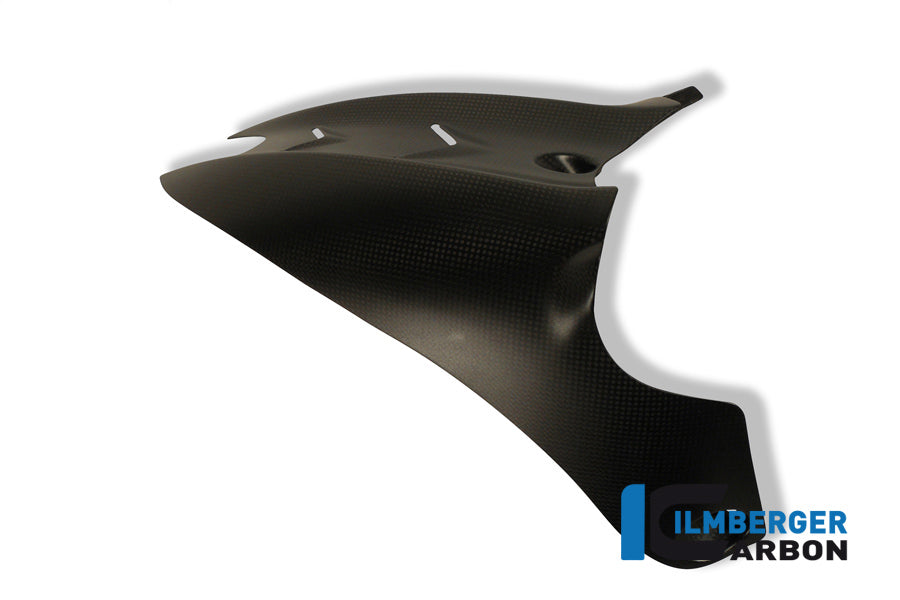 Ilmberger Carbon Rear Fender Carbon