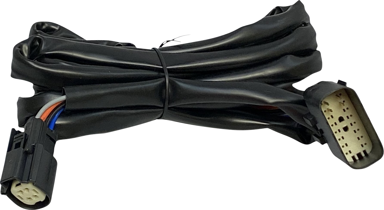 Custom Dynamics Harness - Rear Speakers - Tour-Pak