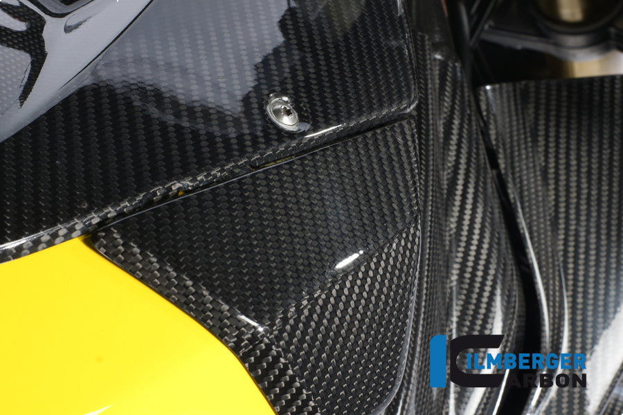 Ilmberger Carbon Left Side Cover On The Tank Carbon