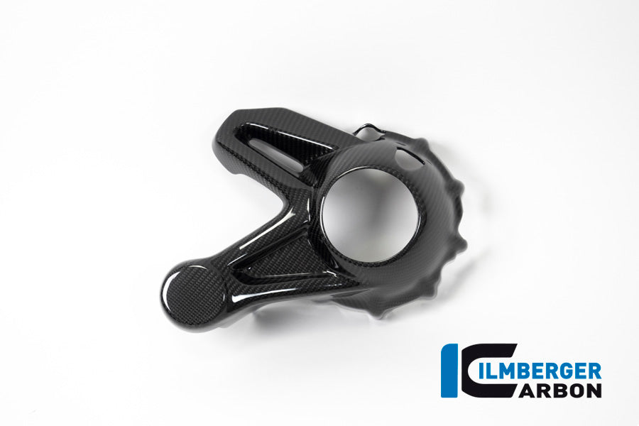 Ilmberger Carbon Bevel Drive Housing Protector (Mounting With Rear Splash Guard) BMW R 1250 GS / R 1250 R