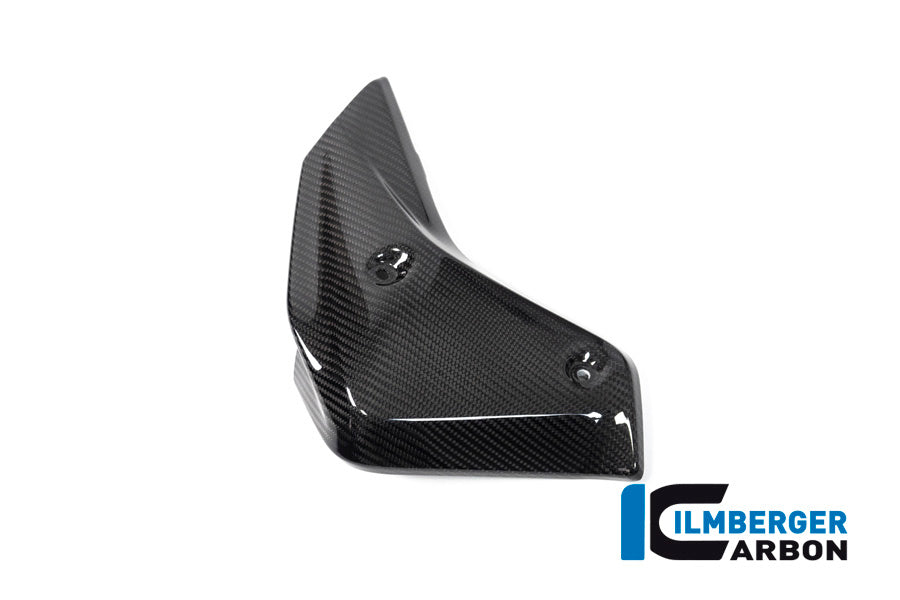 Ilmberger Carbon Watercooler Cover Left Side BMW R 1250 R