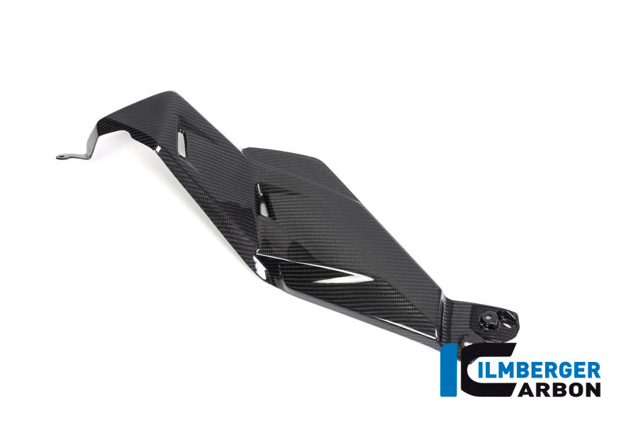 Ilmberger Carbon Airvent Cover Left Side BMW R 1250 GS