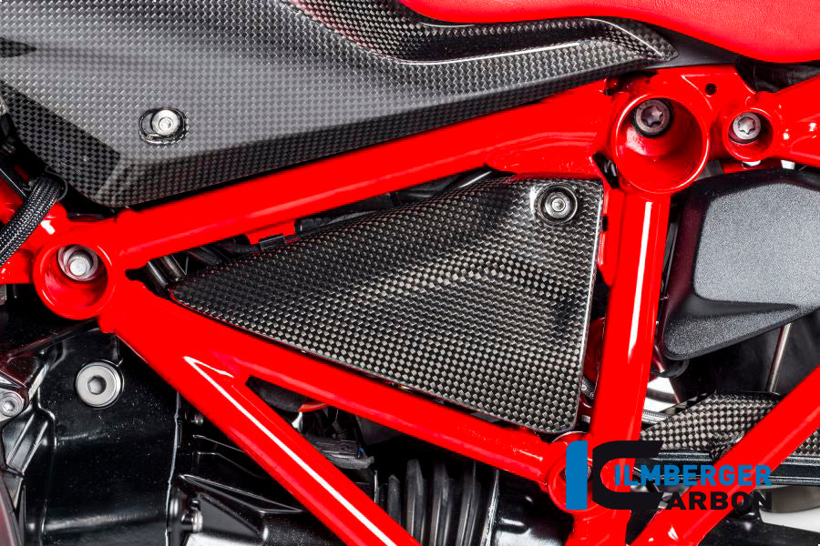 Ilmberger Carbon Frame Triangle Cover Left Carbon