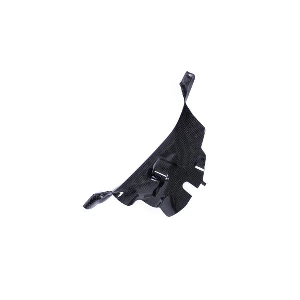 Ilmberger Carbon Air Tube Cover Set For Ducati Panigale V4 V4S Speciale