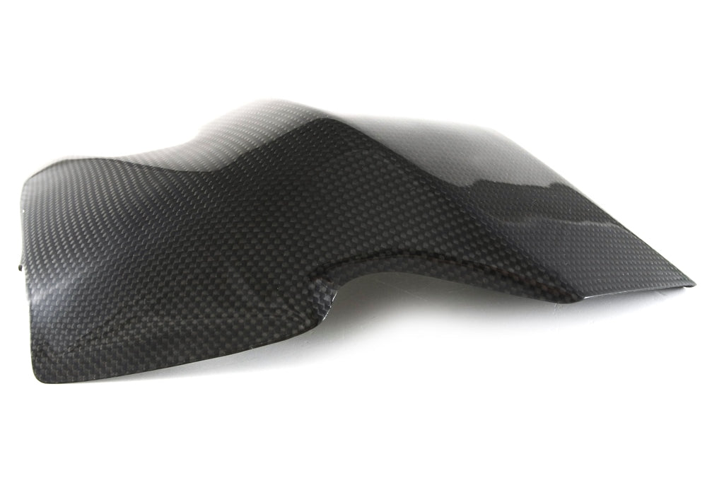 Fullsix Carbon Swingarm Guard
