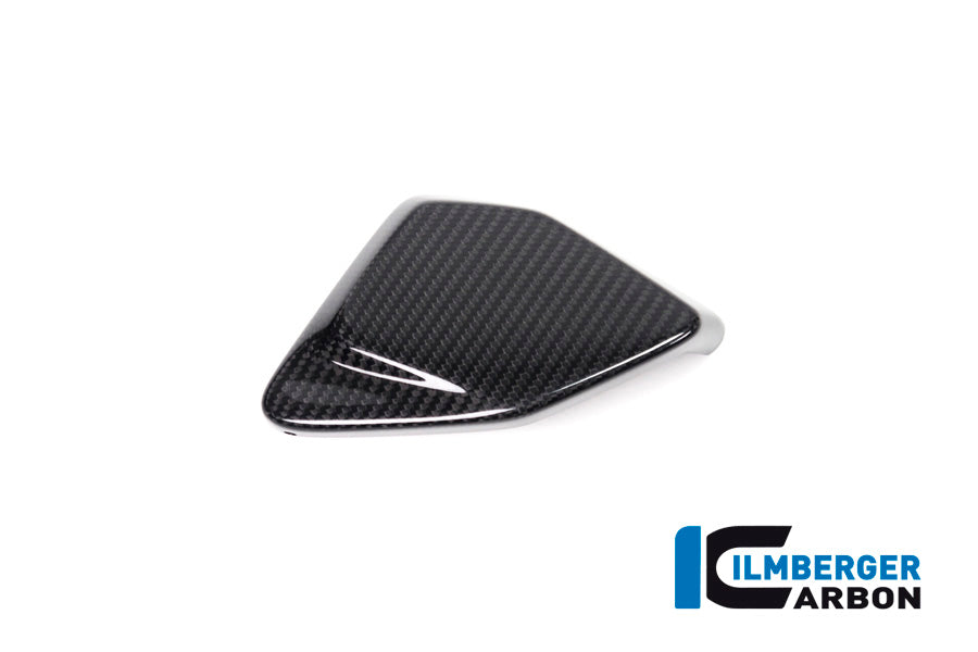 Ilmberger Carbon ESA Box Cover R 1250 GS