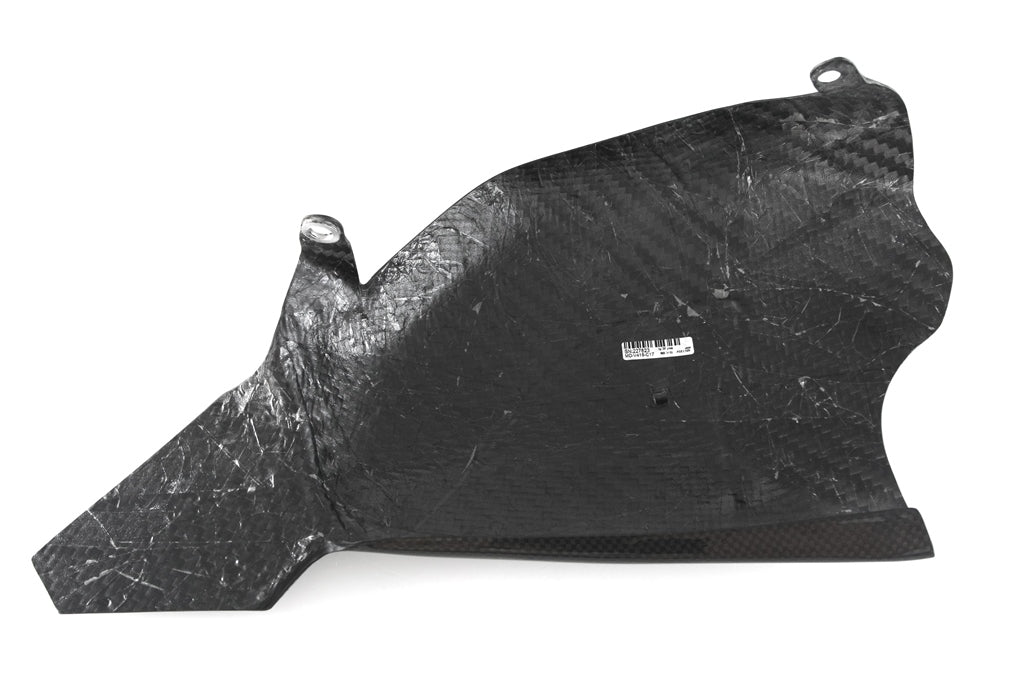 Fullsix Carbon Swingarm Guard