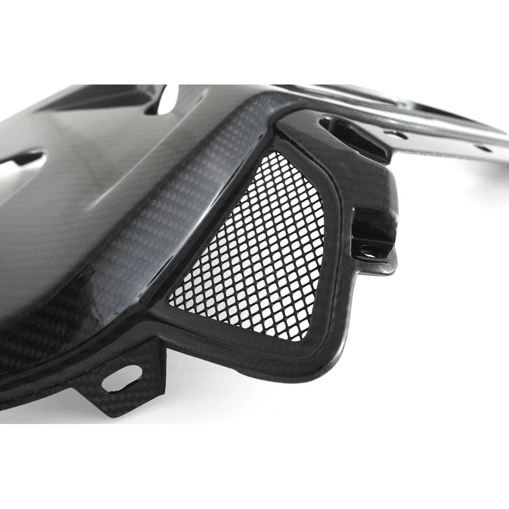 Fullsix Carbon Fiber Rear Seat Tail Panel For S1000RR M1000RR K67